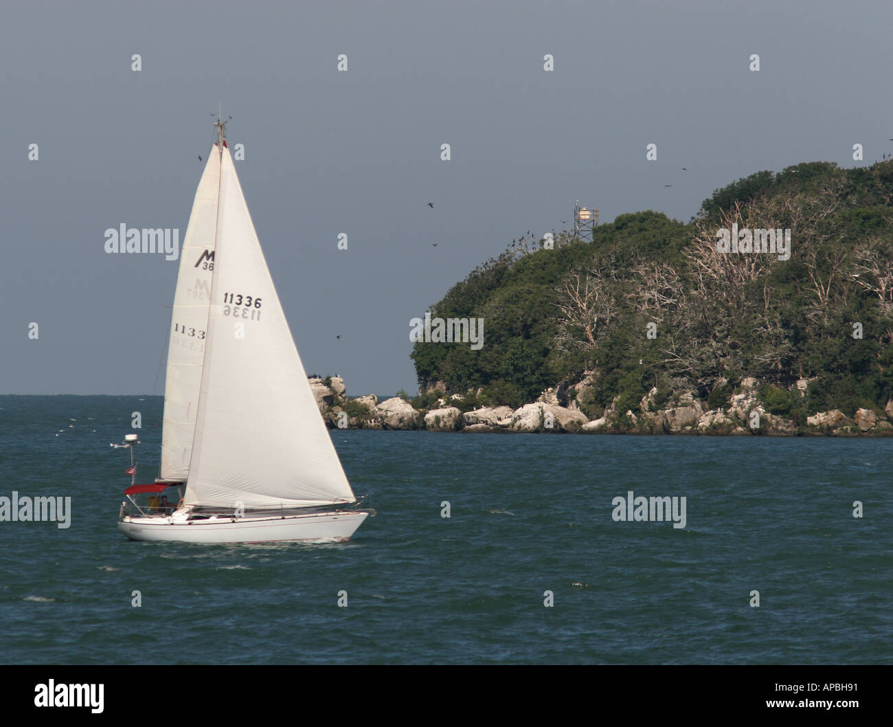 south bass island ohio lake erie sailboat sail bedrock ledge united