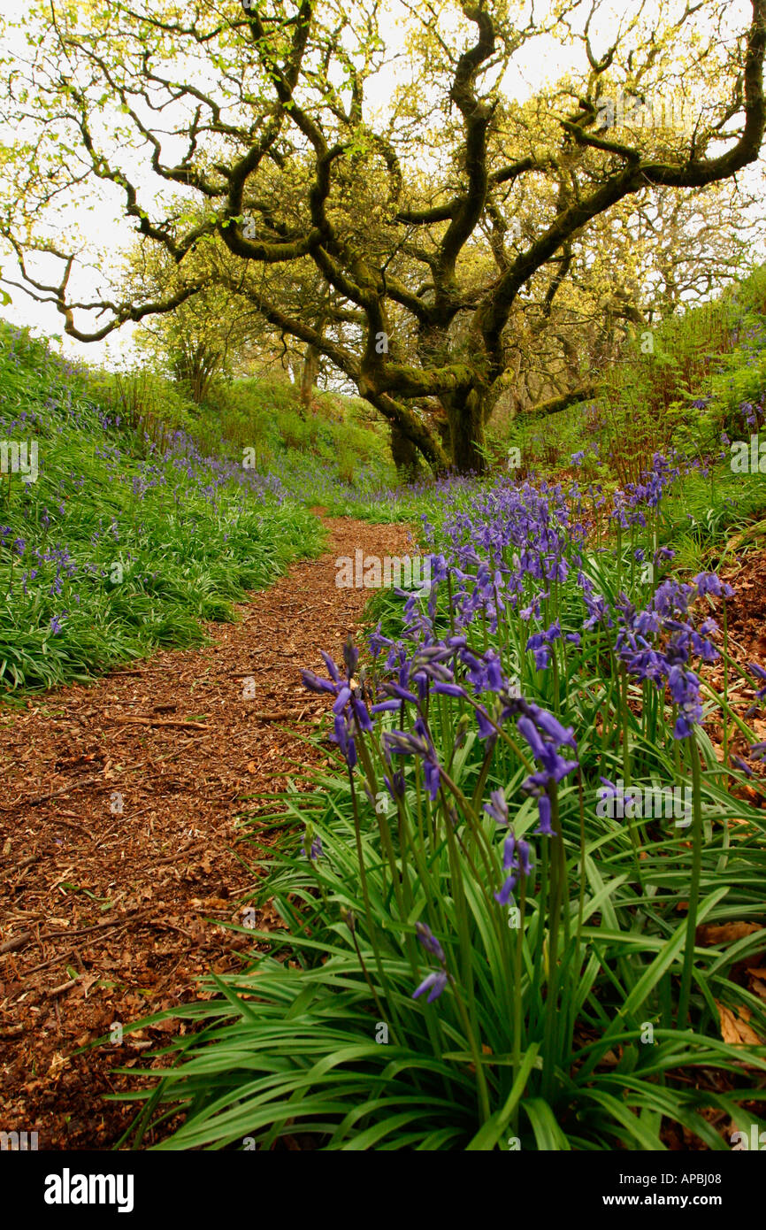 Lyme regis history hires stock photography and images Alamy