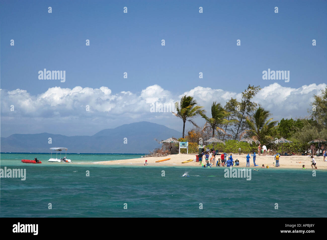 Low Isles near Port Douglas North Queensland Australia Stock Photo