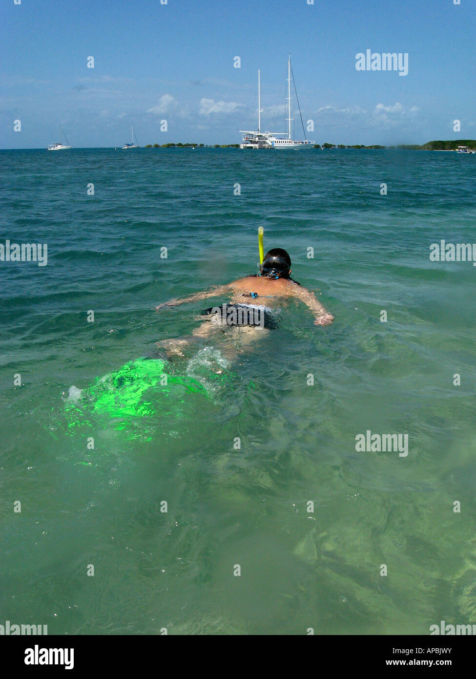 Snorkeler south pacific hi-res stock photography and images - Alamy