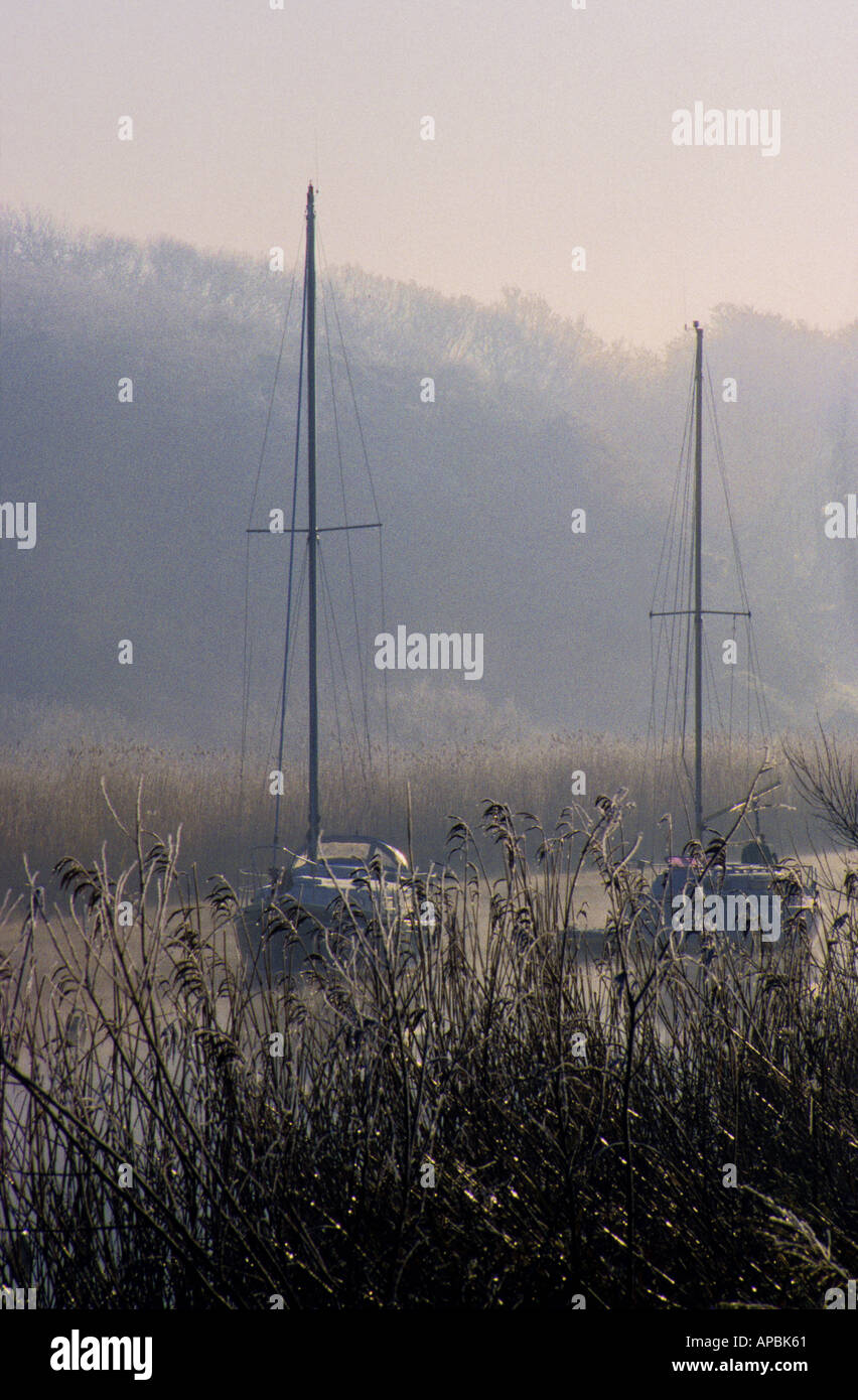 Yachts and reeds covered in hoarfrost on a bitterly cold morning at Wareham River, Wareham, Dorset, UK Stock Photo