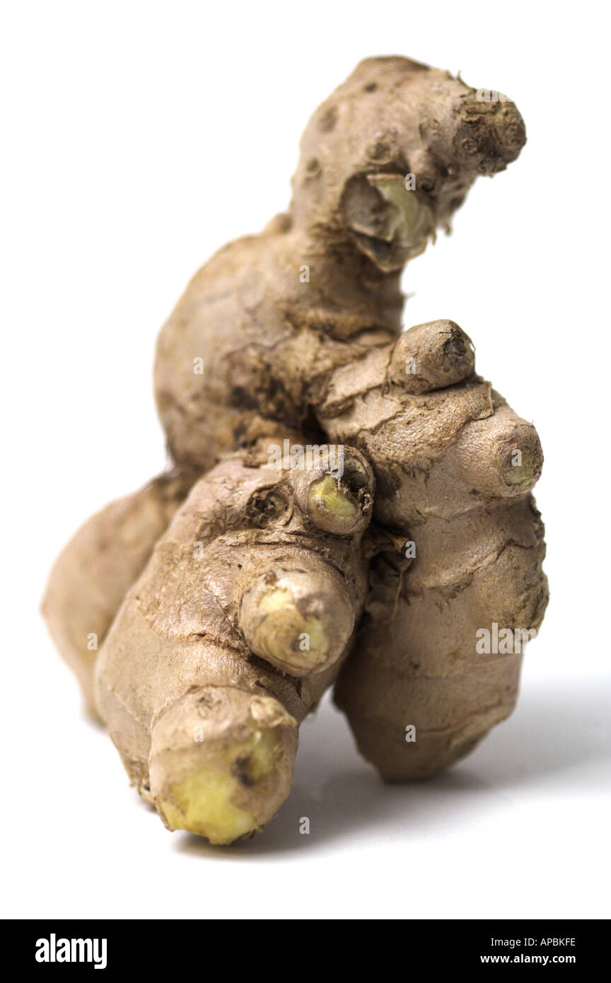 Vegetable Spice Ginger Stem Ginger Stock Photo - Alamy