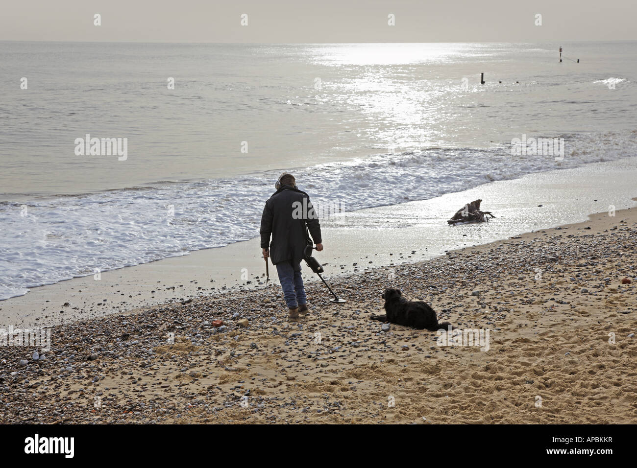 Meta Detector High Resolution Stock Photography and Images Alamy