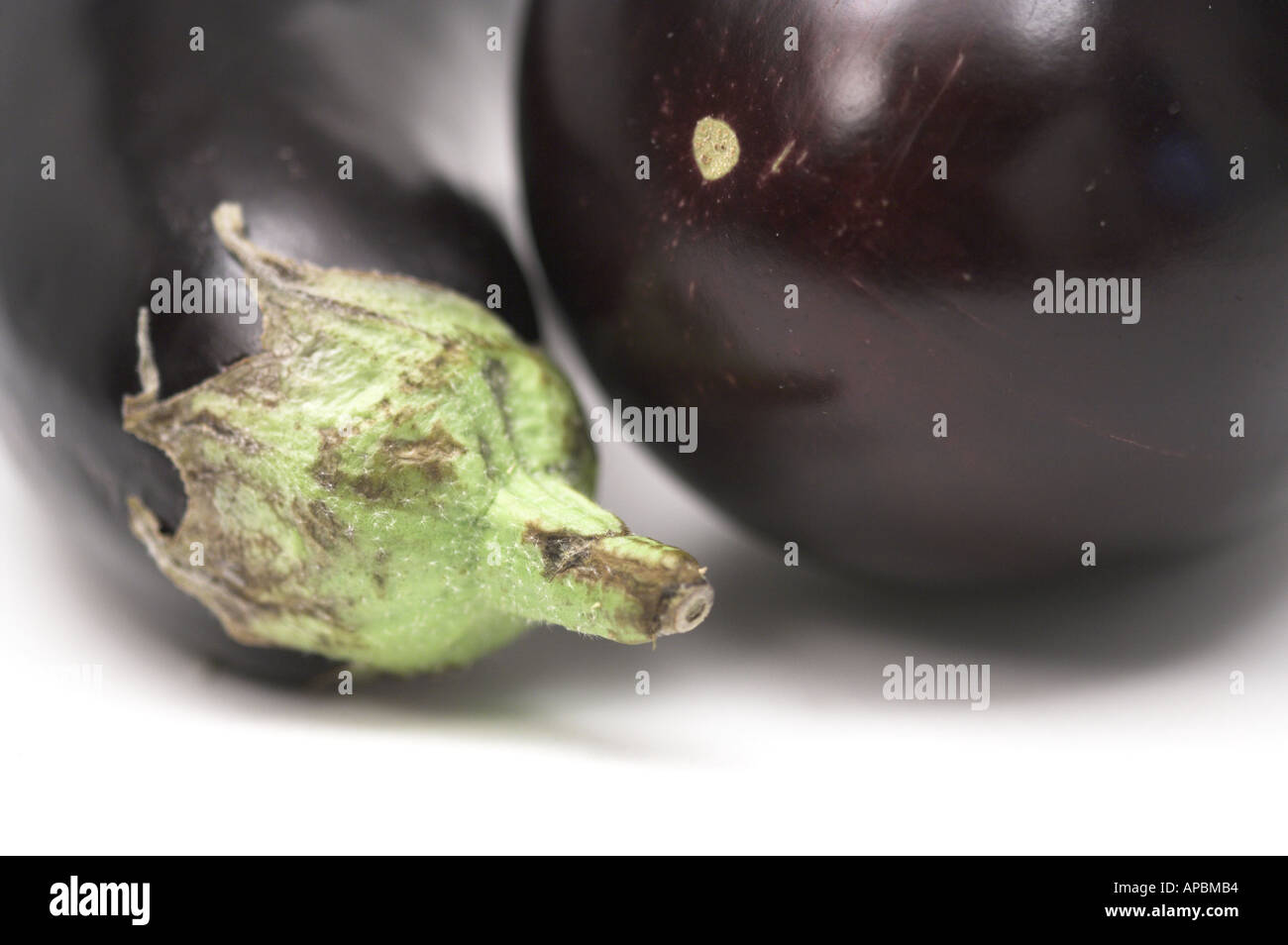 Aubergine Vegetable Aubergine Egg Plant vegetable Stock Photo Alamy