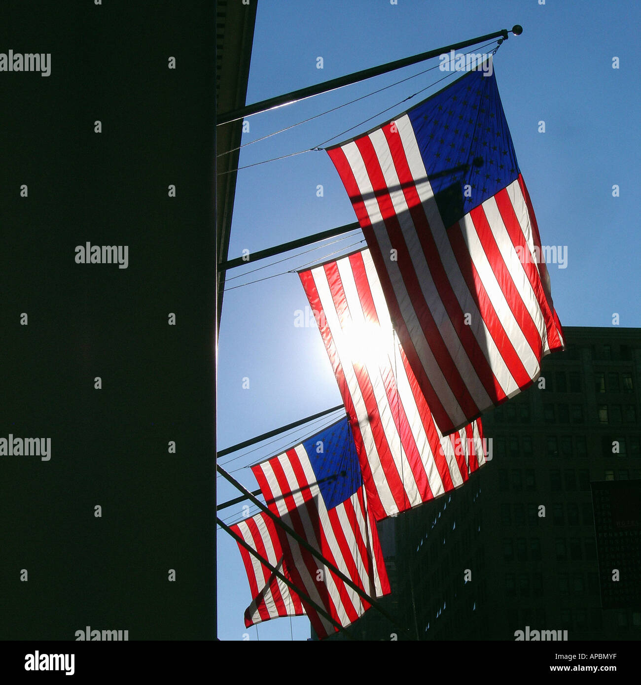 Four USA Flags Backlit by the Sun Copy Space Stock Photo