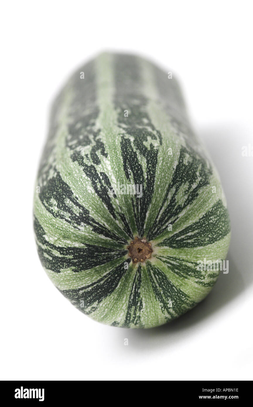 Marrow Vegetable Marrow Stock Photo Alamy