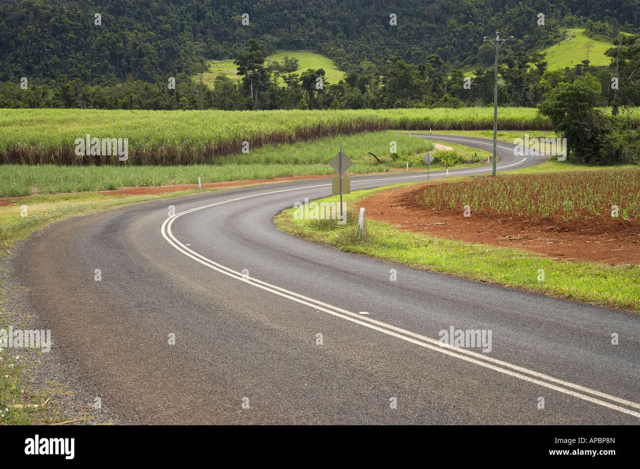 Road and Sugar Cane Fields at Bartle Frere North Queensland Australia Stock Photo