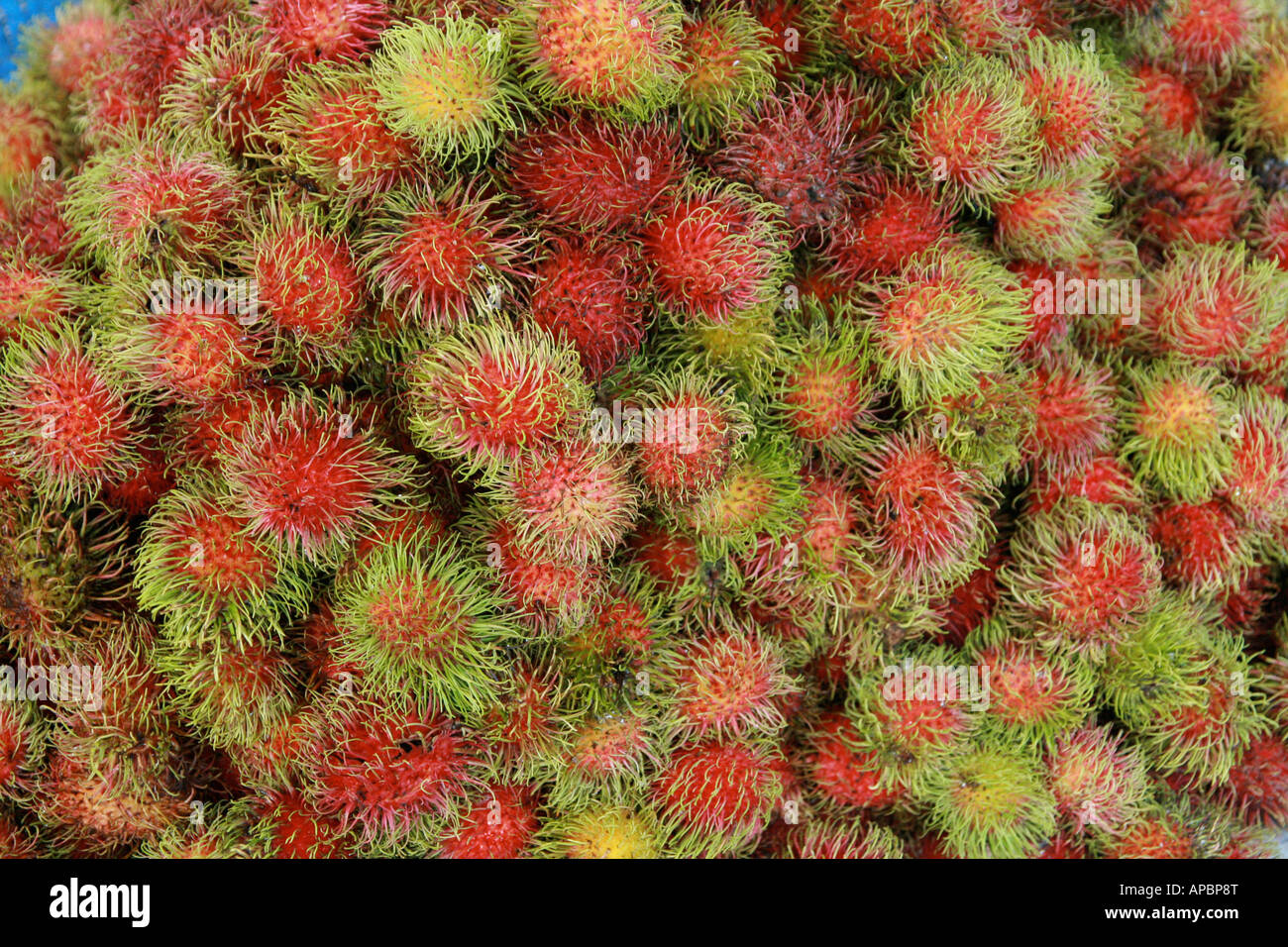 Rambutan fruit sale on hi-res stock photography and images - Alamy