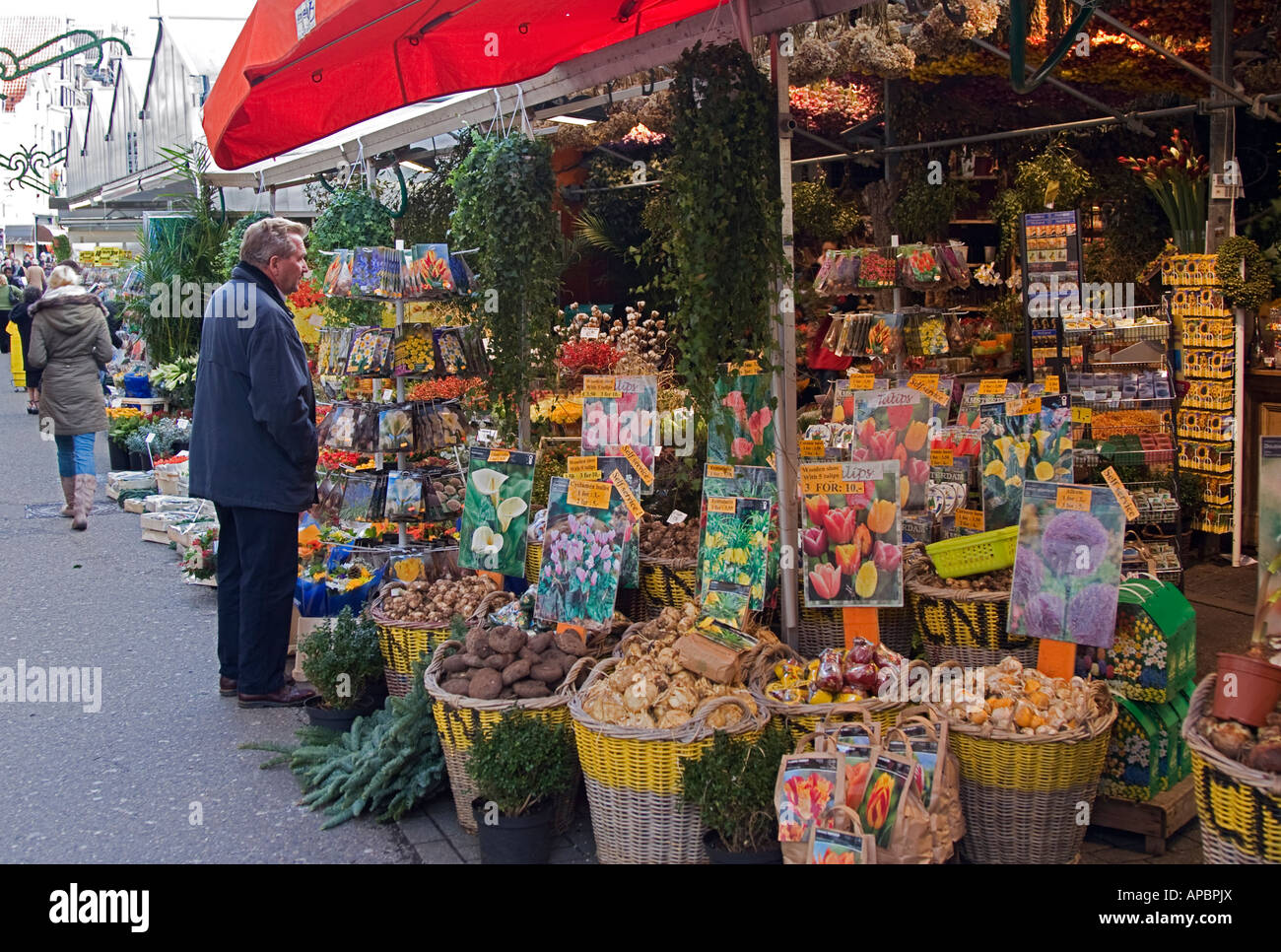 Flower stall in market Amsterdam Holland Stock Photo