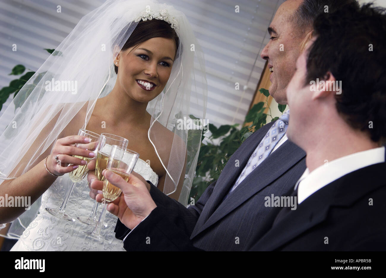 Bride and Groom at reception Stock Photo - Alamy