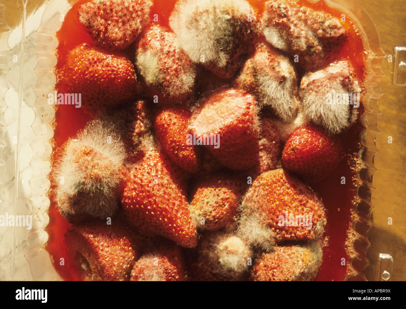 Rotten Strawberries Stock Photos & Rotten Strawberries Stock Images Alamy