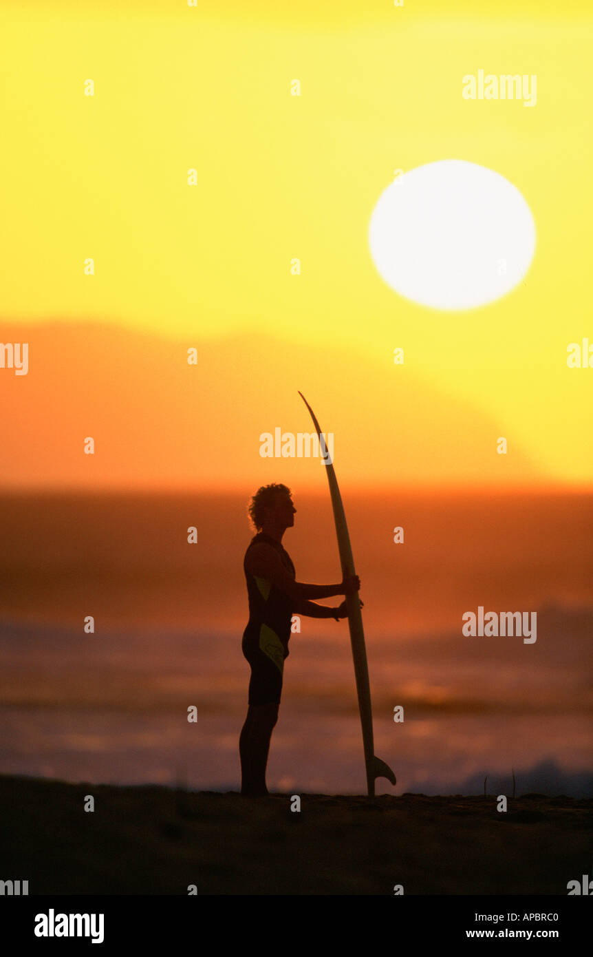 Surfer standing board colour hi-res stock photography and images - Alamy