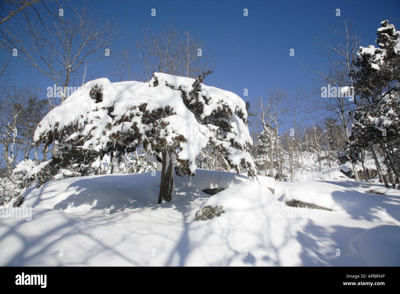 Pawtuckaway State Park during the winter months Located in Nottingham New Hampshire USA which is part of New England Stock Photo