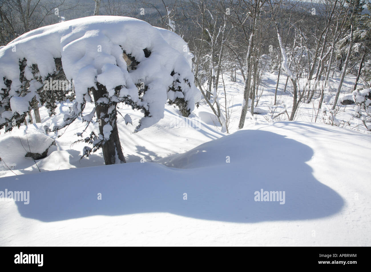 Pawtuckaway State Park during the winter months Located in Nottingham New Hampshire USA which is part of New England Stock Photo
