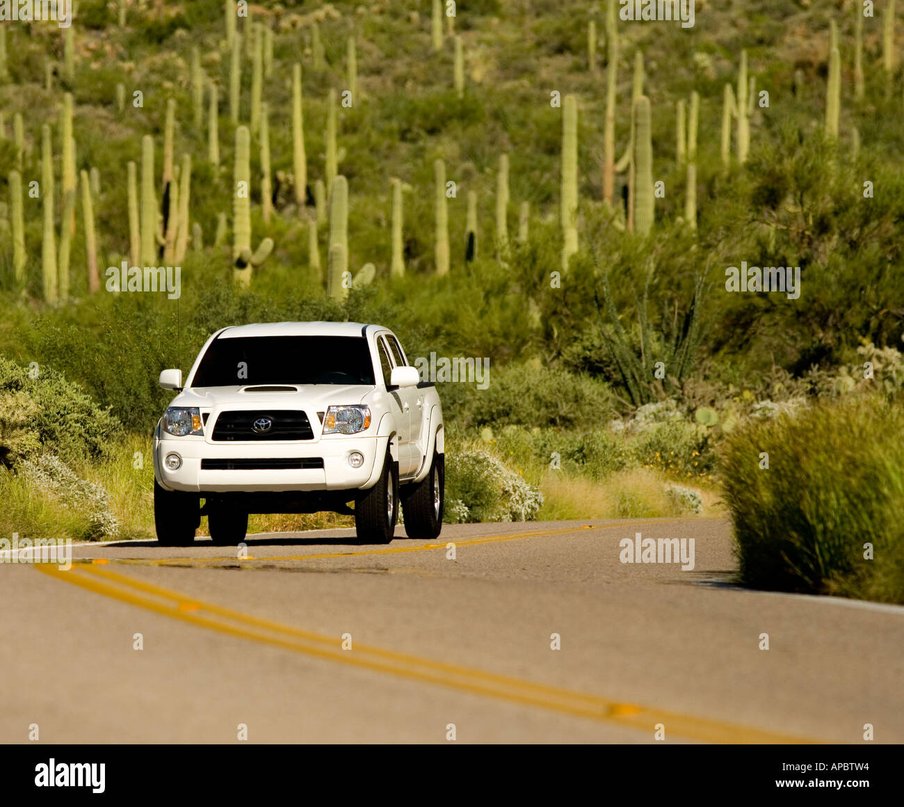 Toyota Tacoma 2006 truck drives thru Arizona Sonoran Desert at Gates ...