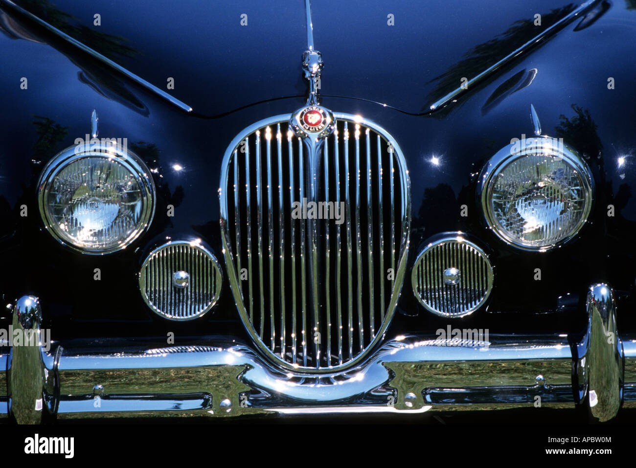 Black Jaguar Antique Classic British Car Stock Photo