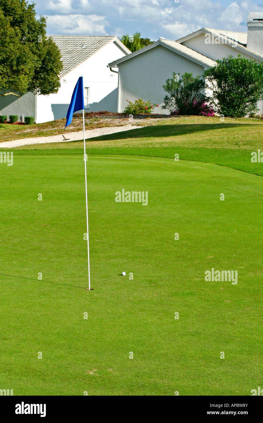 Golf Course Green with Flag Stock Photo Alamy
