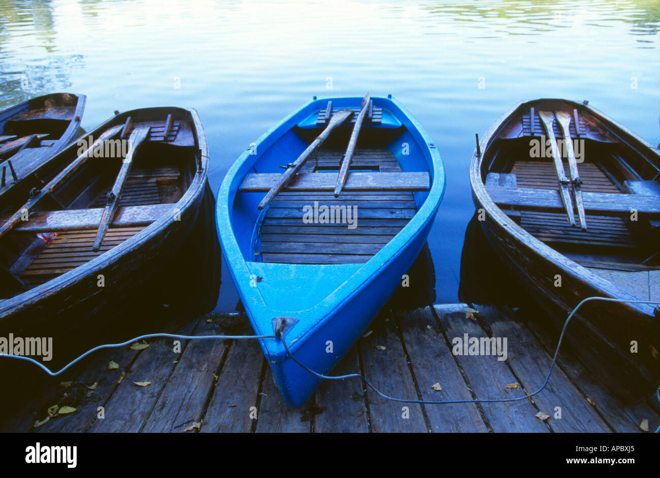Rowboats rowing boats, English Garden, Munich, Germany Stock Photo Alamy