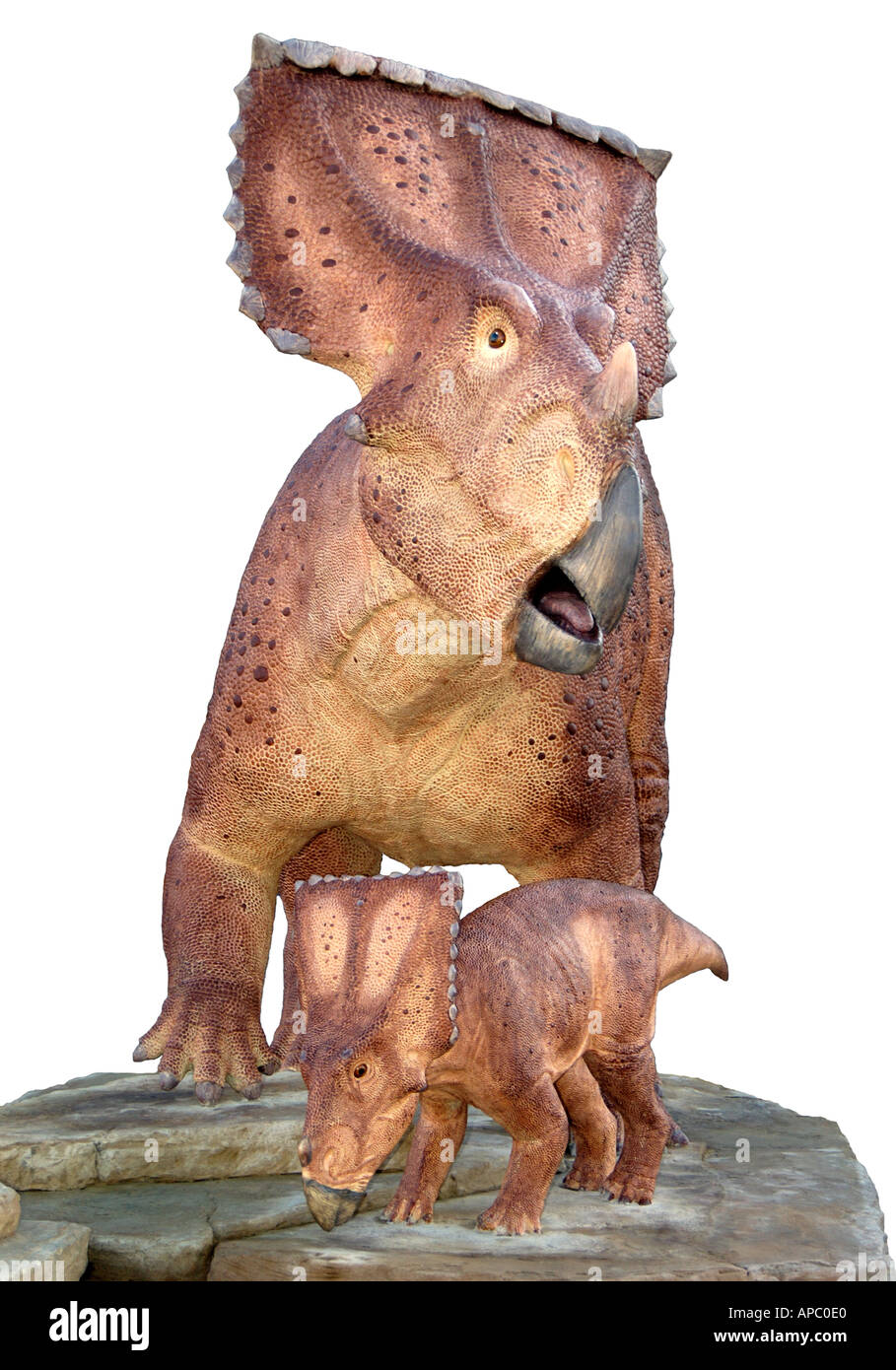 Mother and baby dinosaurs Stock Photo