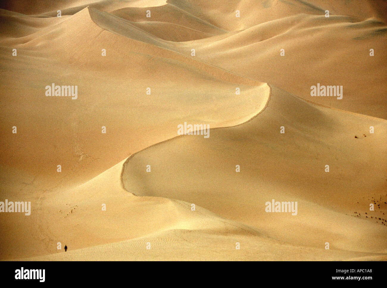 Person climbing huge sand dune Sahara Desert Algeria Africa Stock Photo ...