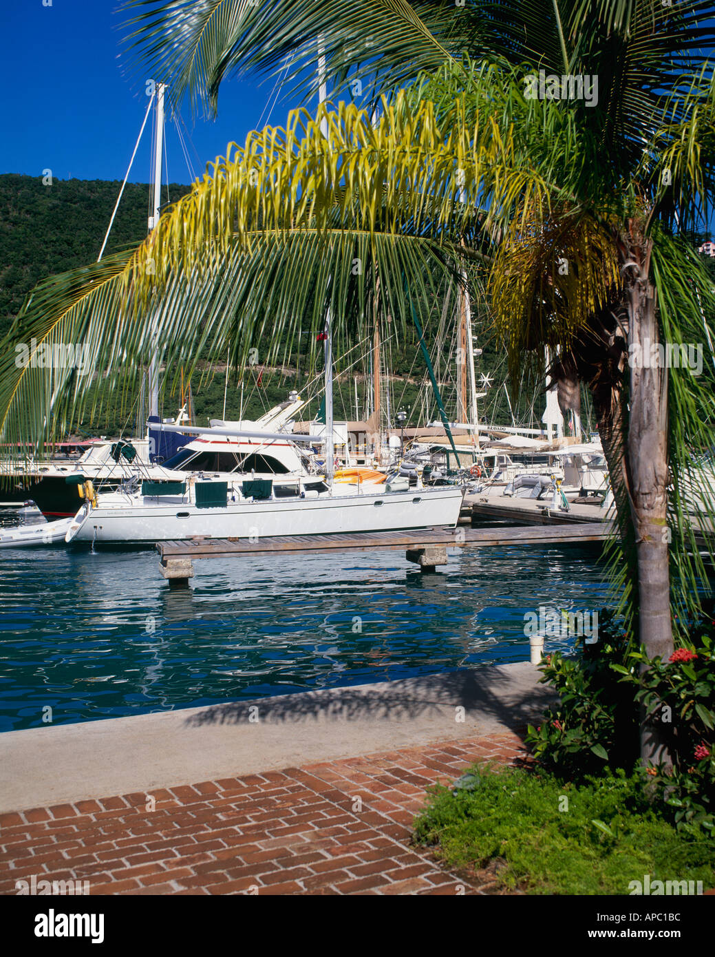 'Sopers Hole' Wharf 'Pussers Landing' 'Frenchmans Cay' West End Tortola British Virgin Islands Caribbean Stock Photo