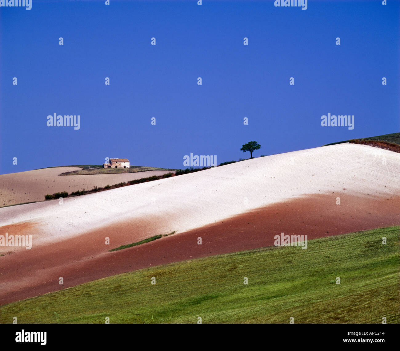 Landscape near Guglionesi Molise Italy Biferno DOC Stock Photo - Alamy