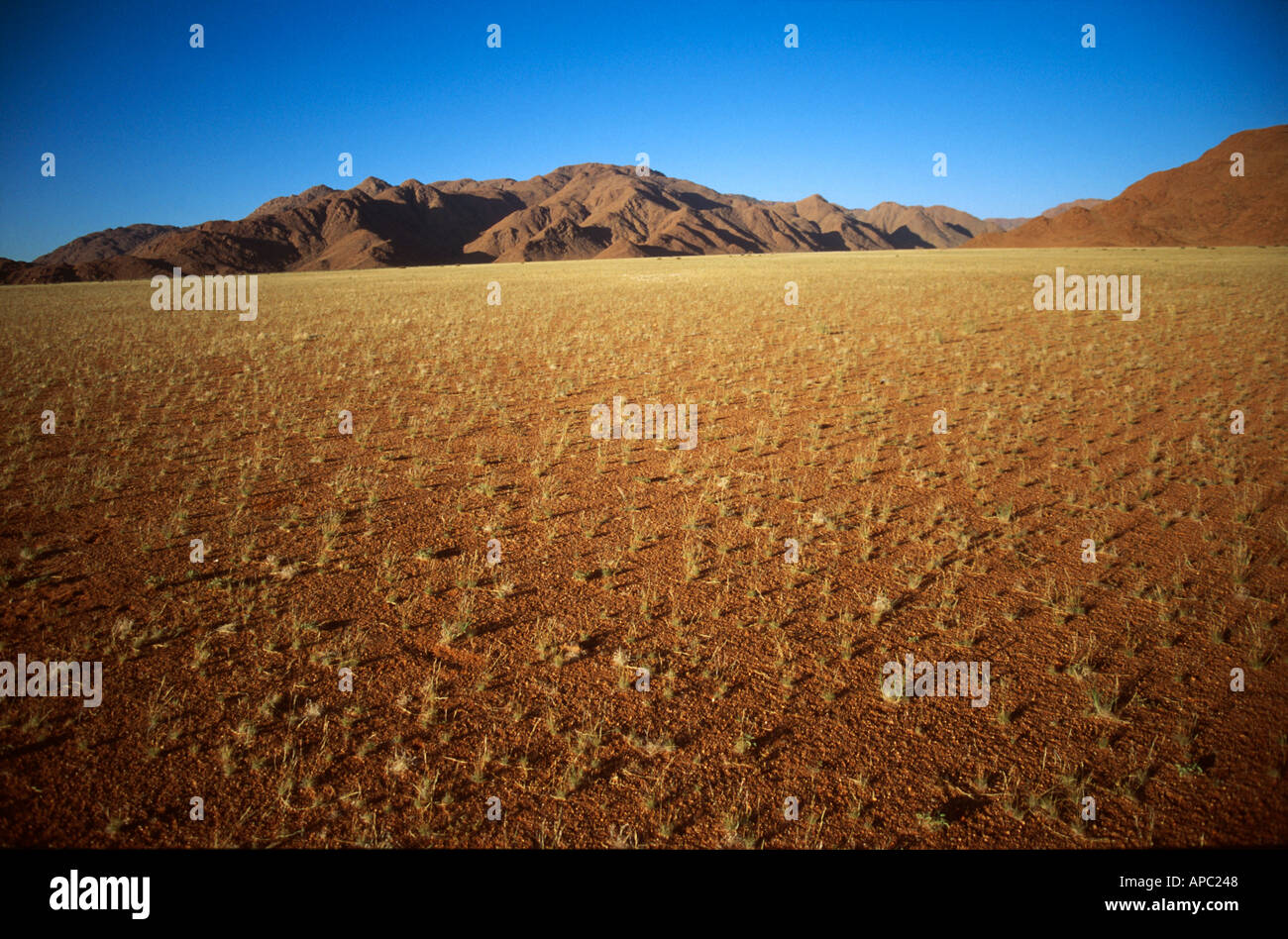 Namib visual data 8