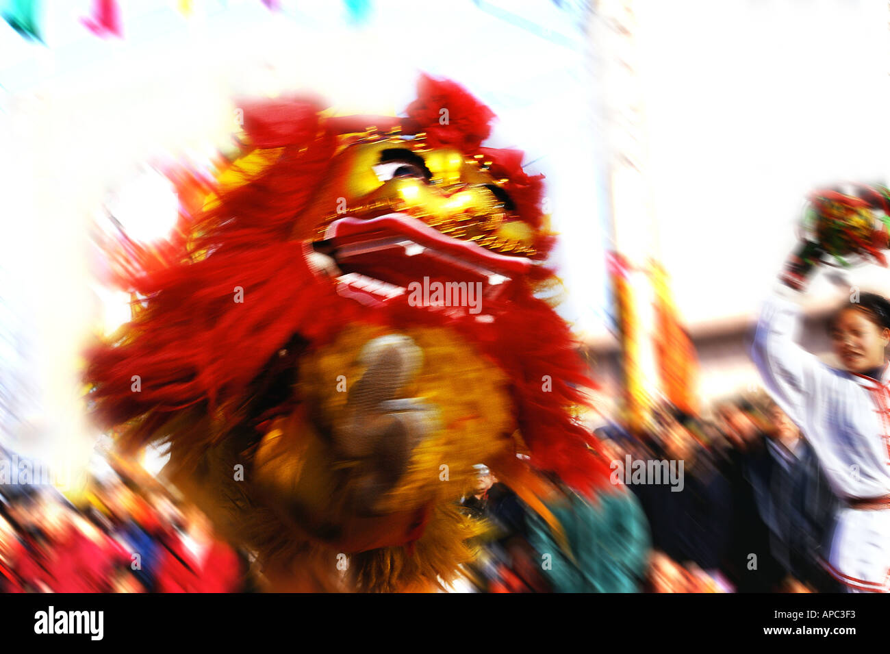 dancer performing lion dancing celebrating Chinese New Year Stock Photo ...