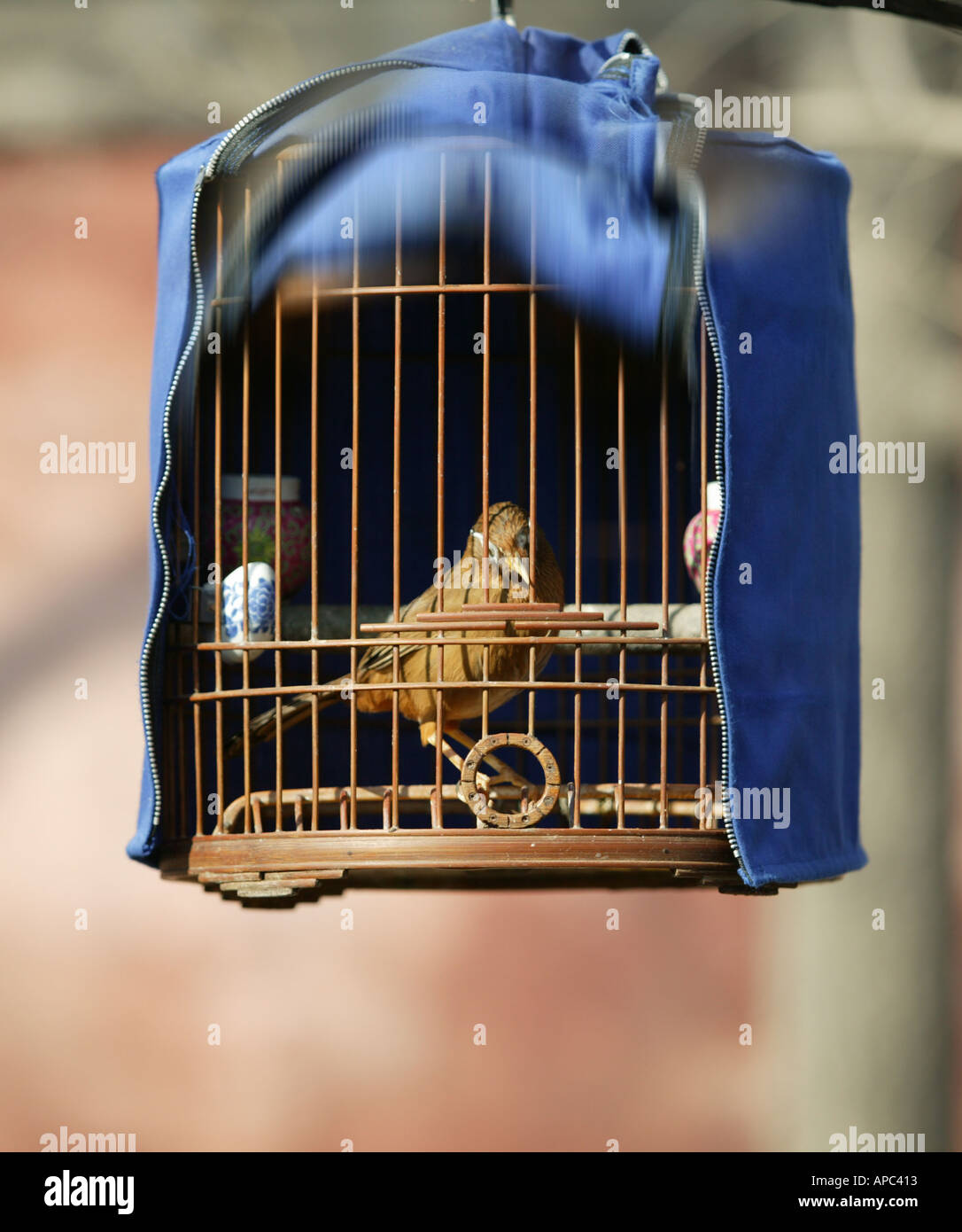 Bird cage cover hi res stock photography and images Alamy