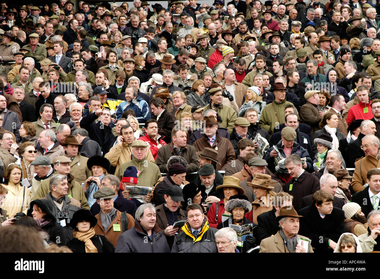 Cheltenham Gold Cup horse racing meeting, crowd Stock Photo 8996761