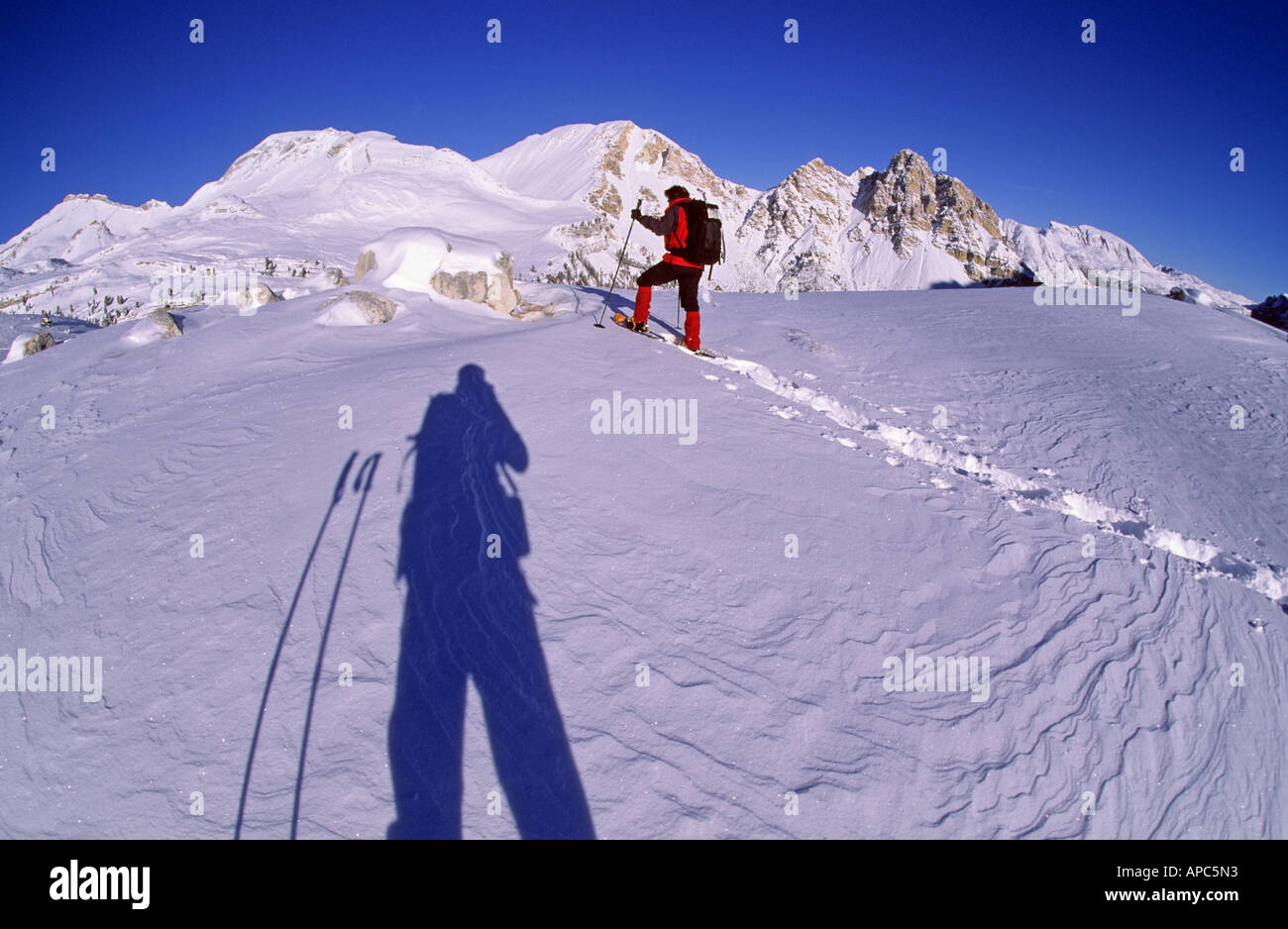 Woman snowshoeing at Col de Limo Fanes area South Tyrol Dolomites Italy Stock Photo