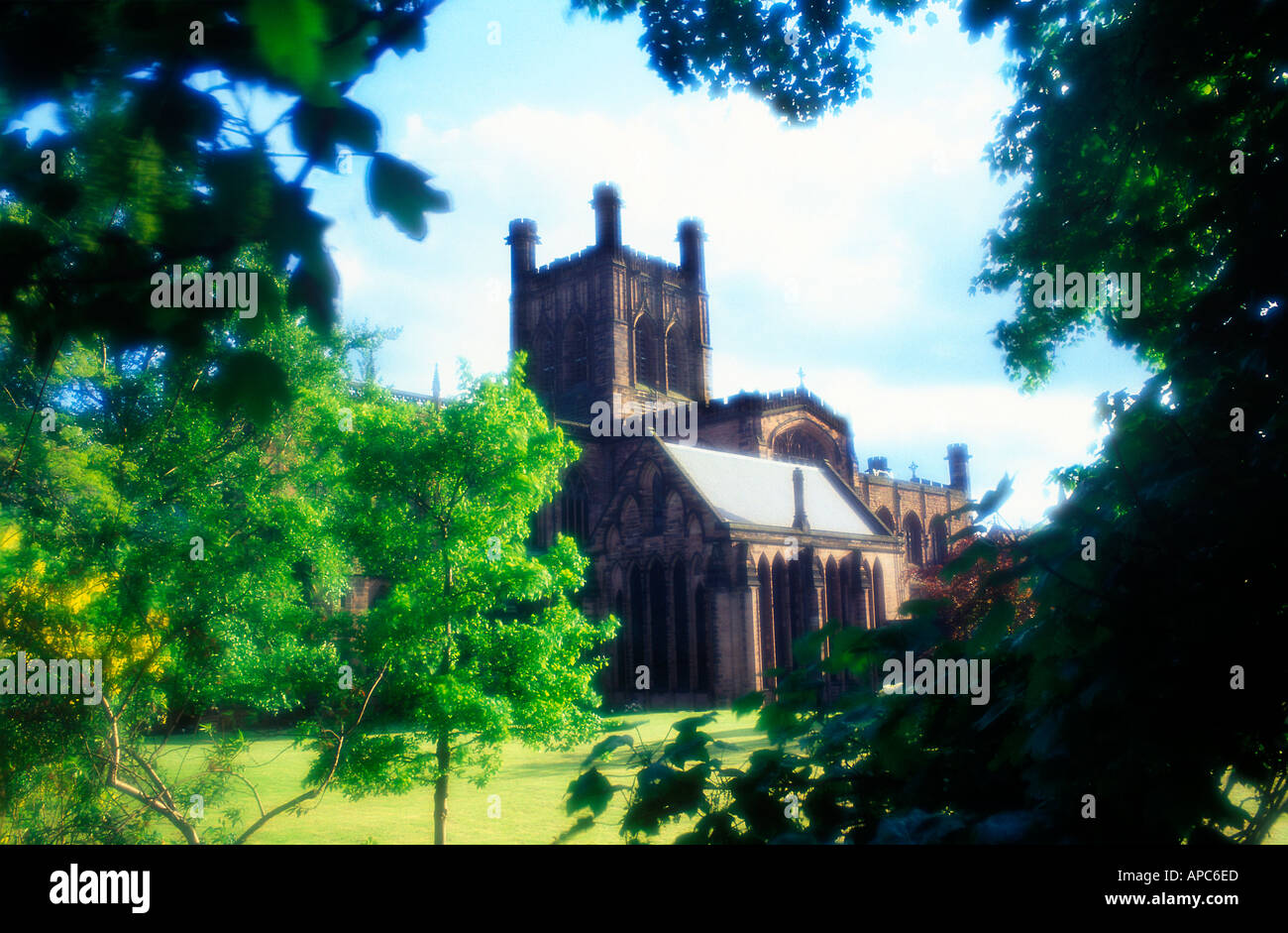 chester city cathedral framed trees summer cheshire england uk Stock Photo