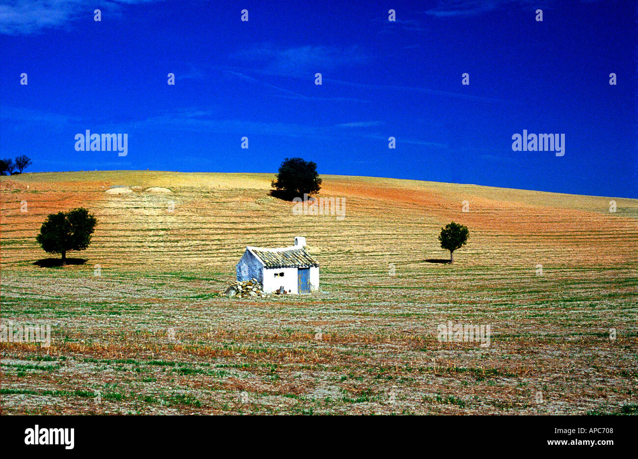 small hut;olive trees; on hillside; cordoba; spain; andalucia; Stock Photo