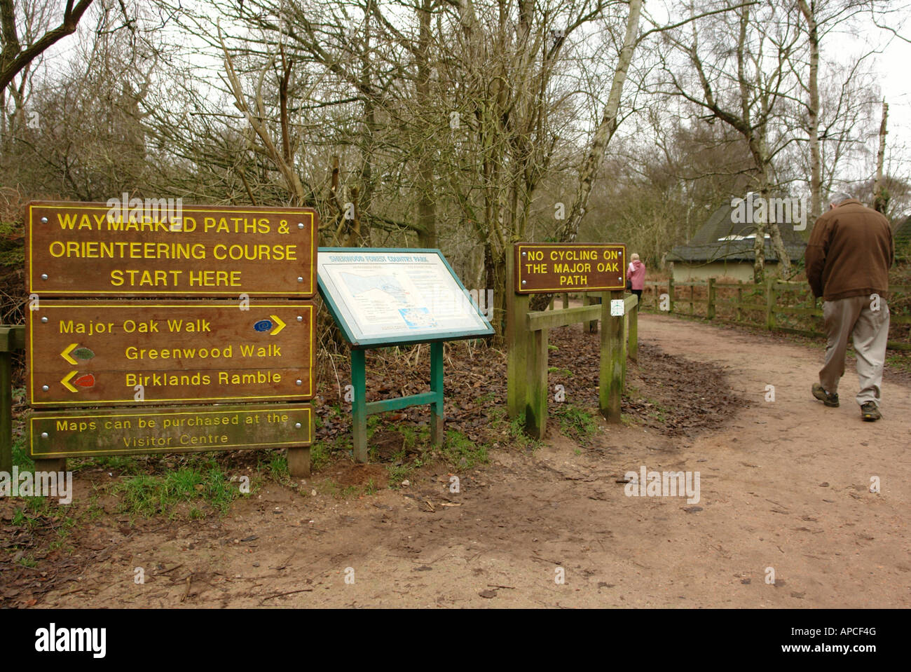 Sherwood Forest Country Park Edwinstowe Mansfield Nottinghamshire