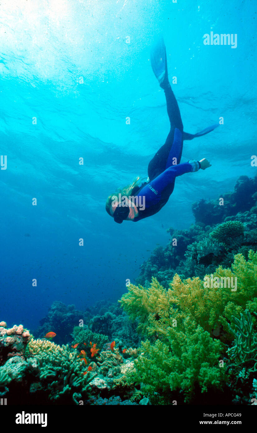 Tanya streeter hires stock photography and images Alamy