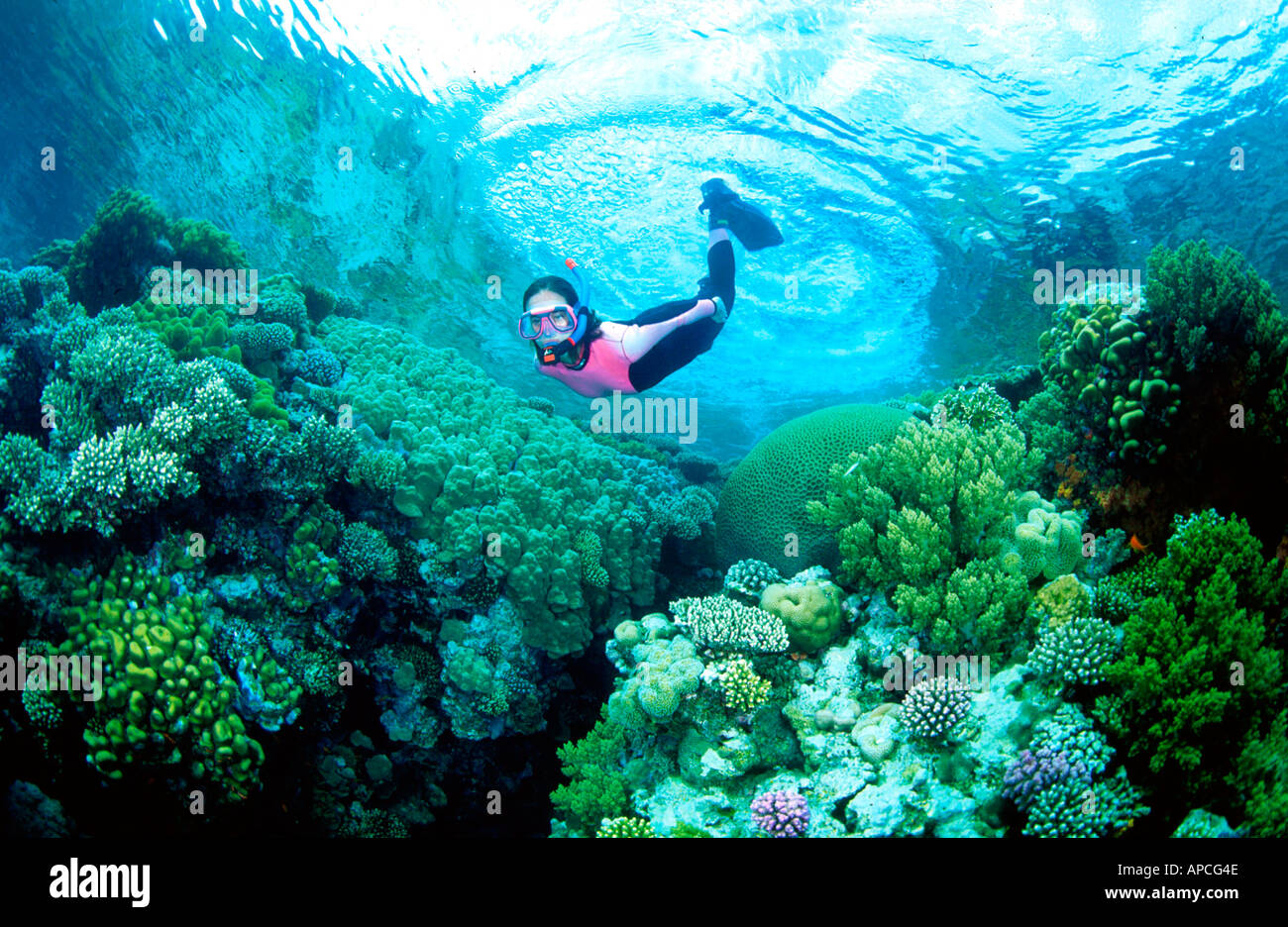 Ocean snorkeling hi-res stock photography and images - Alamy