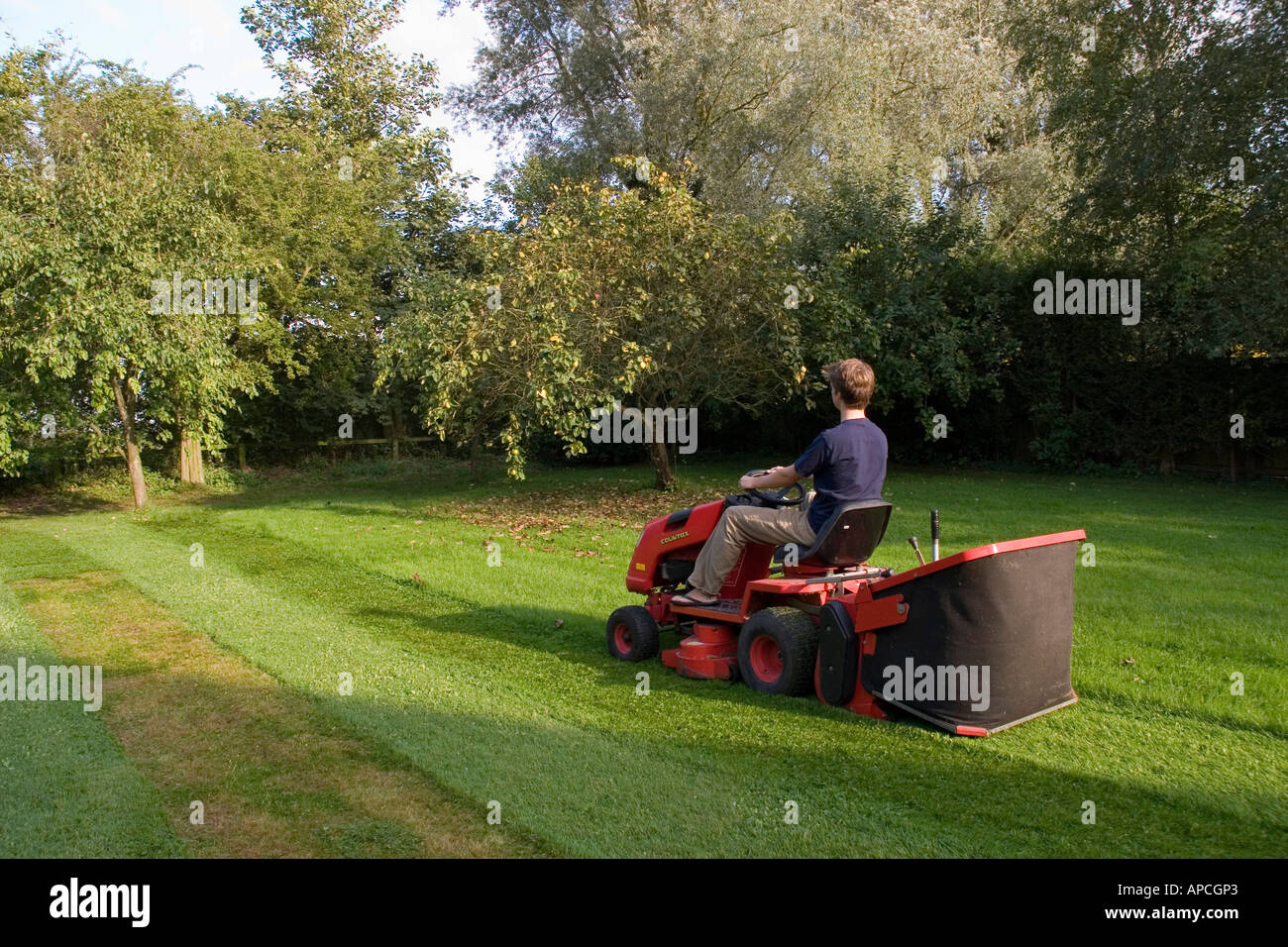 Using a ride on petrol driven tractor mower to cut garden lawn with
