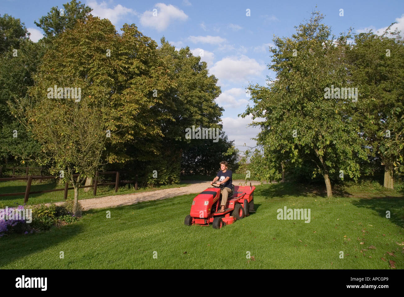Using a ride on petrol driven tractor mower to cut garden lawn with grass collecting box Stock Photo