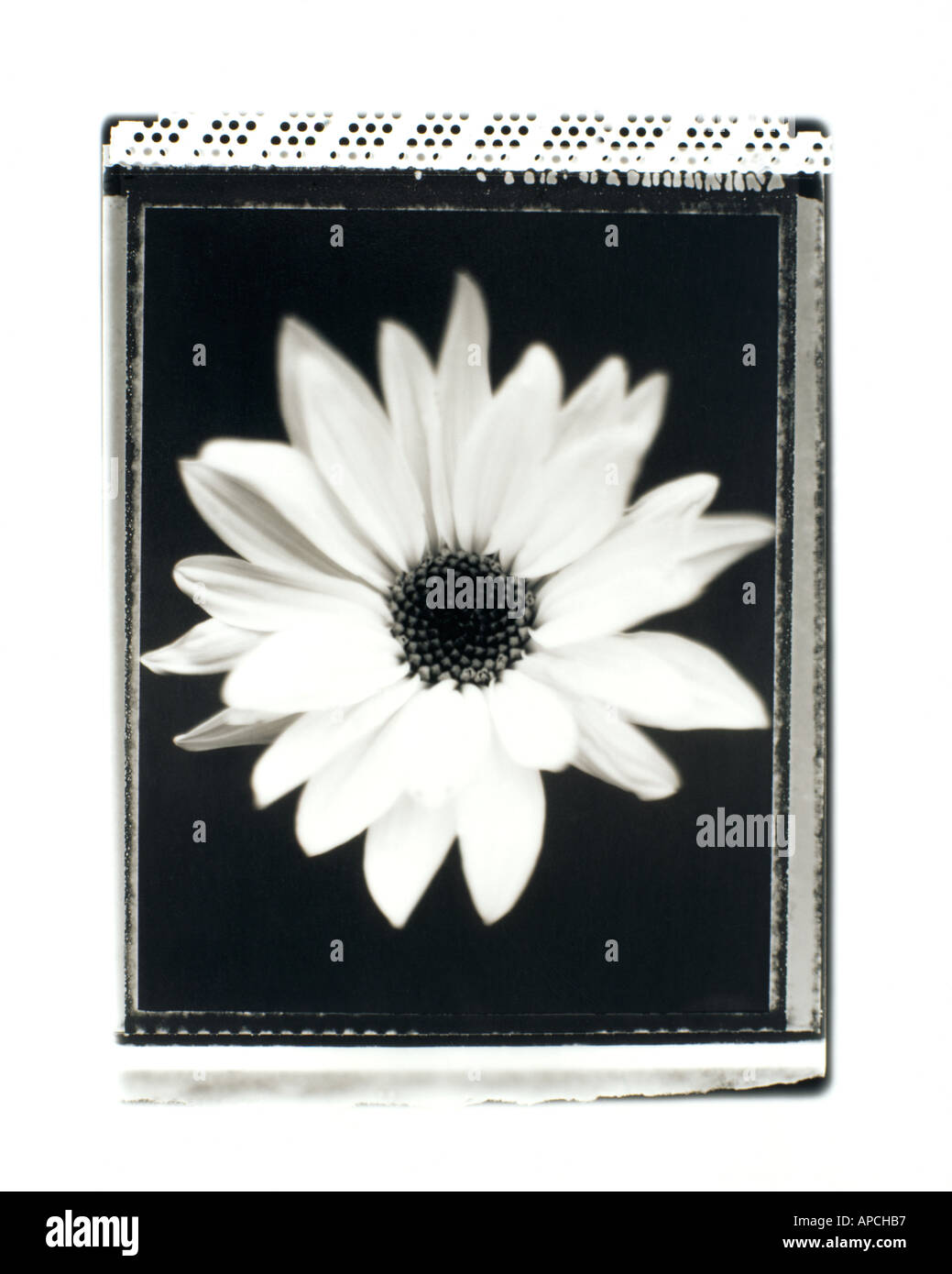 Polaroid type 55 hi-res stock photography and images - Alamy Polaroid type 55 hi-res stock photography and images - Alamy