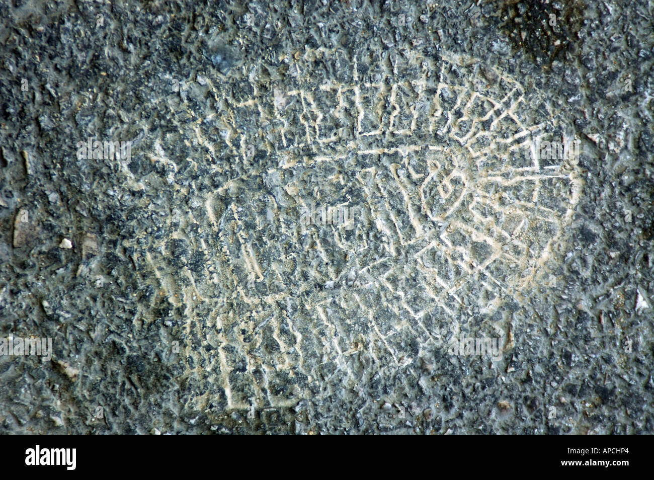 footprint Stock Photo