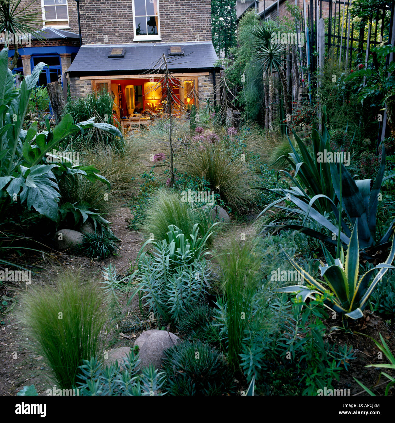 London garden planted with yucca and low growing New Zealand grasses Stock Photo