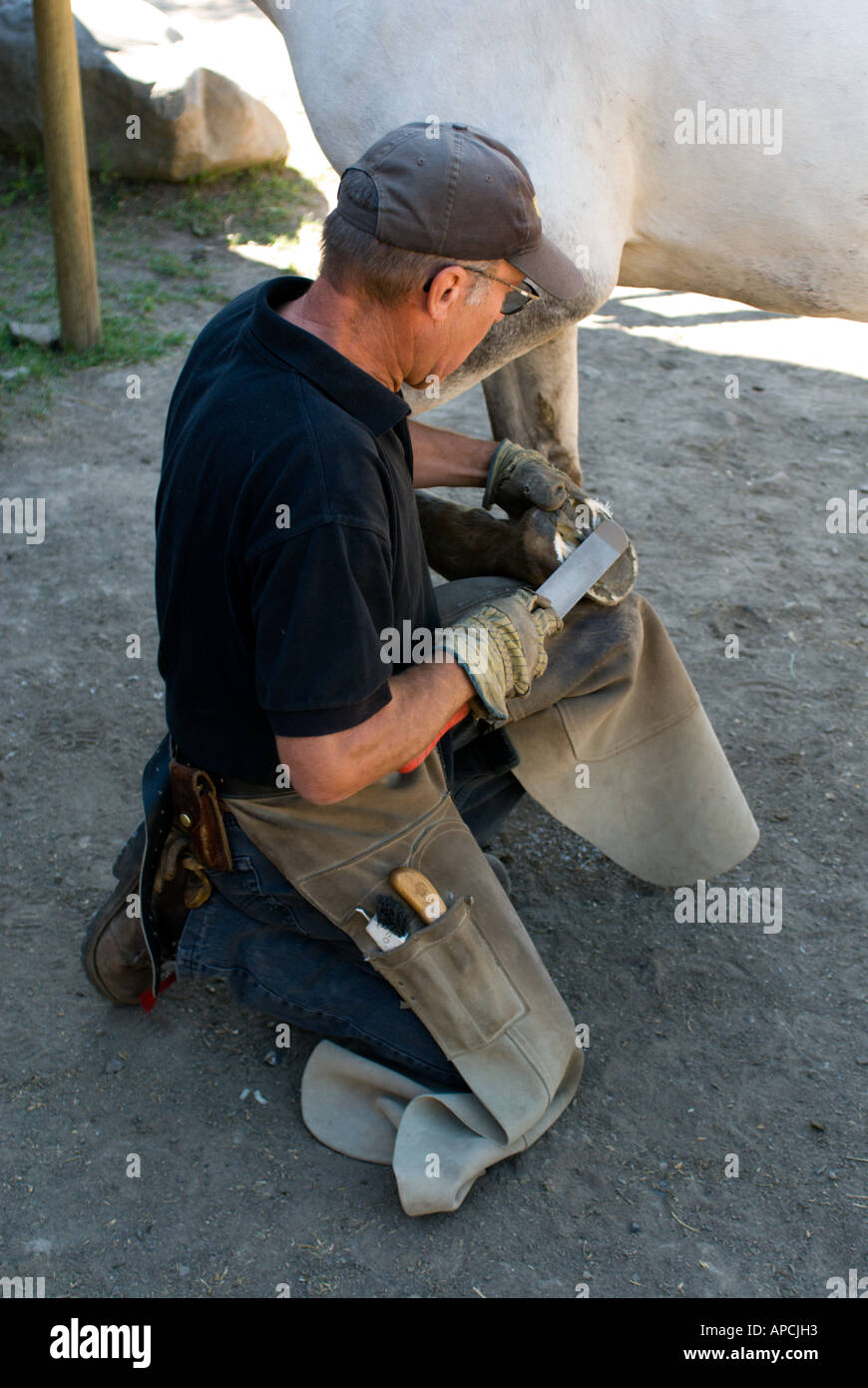 Rancher filing horse's hoof Stock Photo