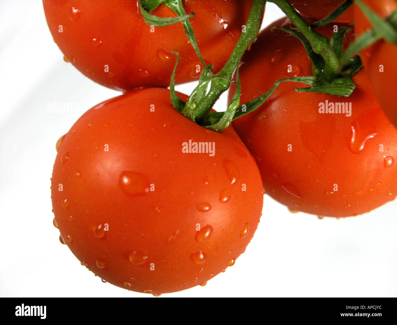 Tomatoes on vine Stock Photo Alamy