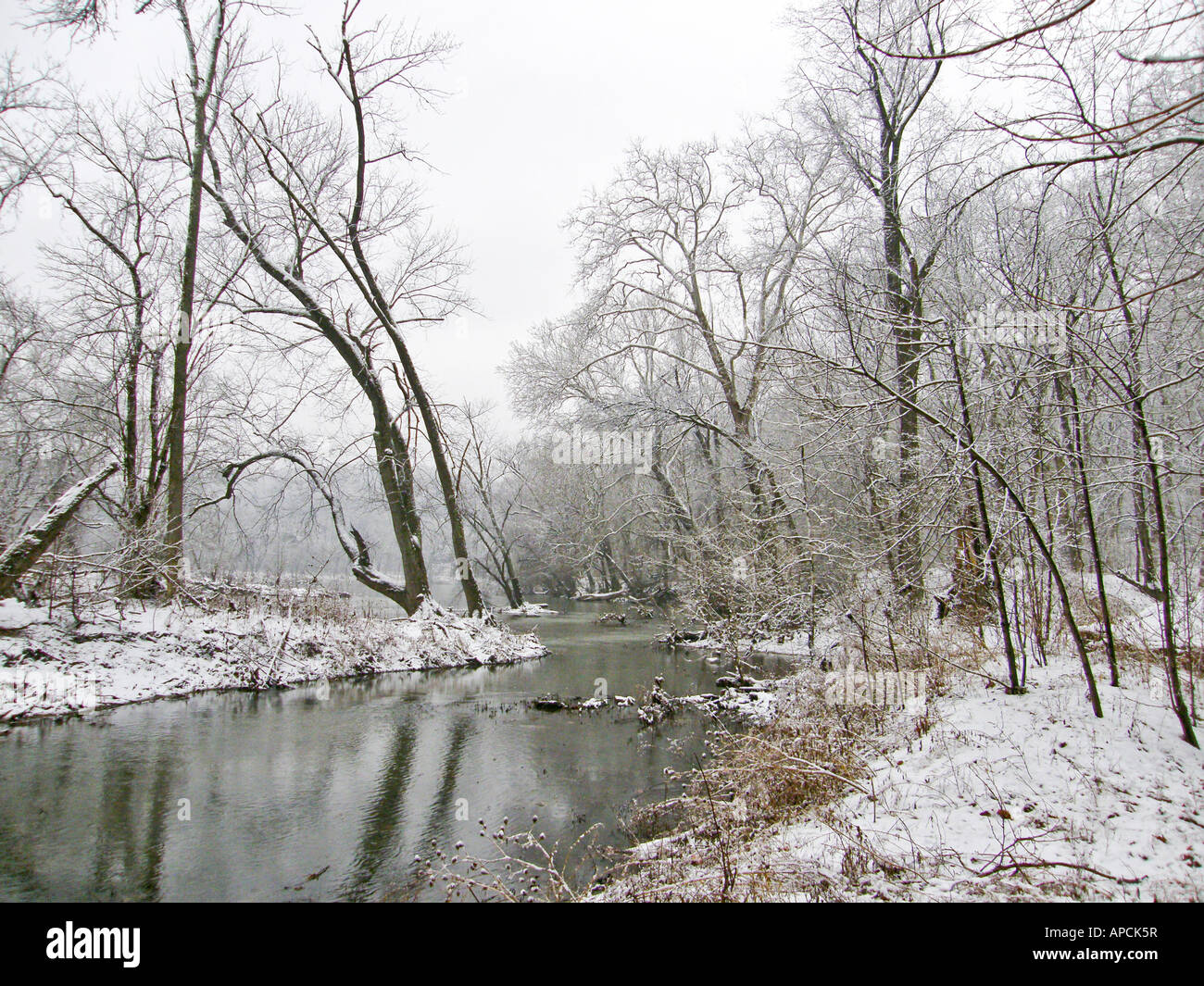 A quiet river landscape in winter, with trees and snow on each side ...