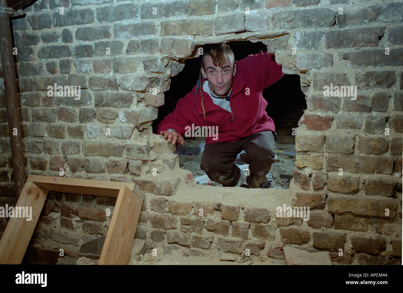Squatter moving between two houses through hole in attic wall Stock Photo