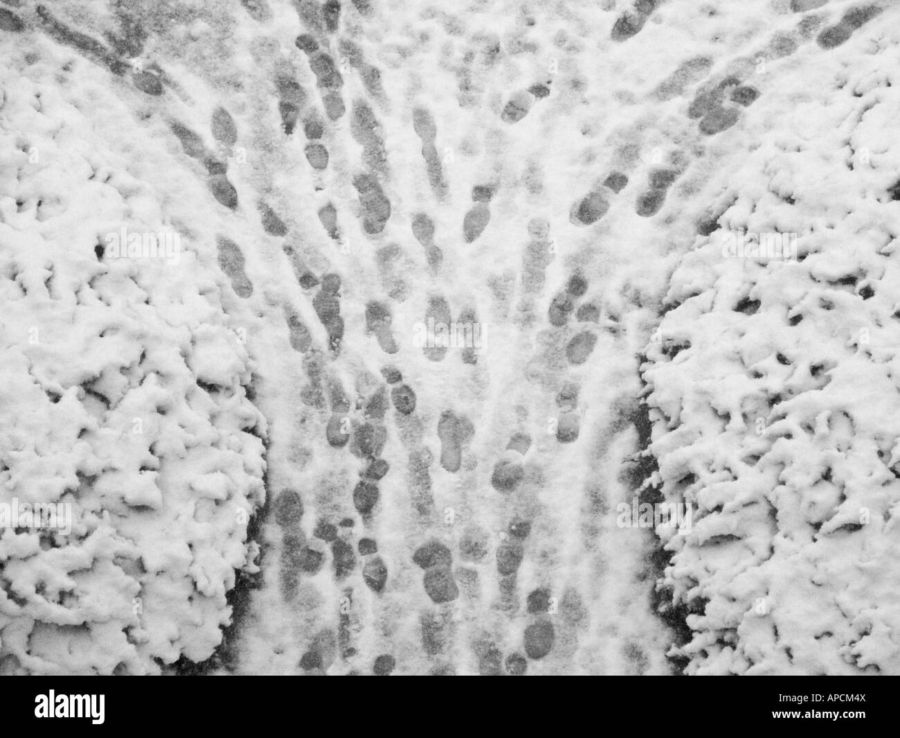 Footsteps trace curving paths in the freshly fallen snow. Stock Photo