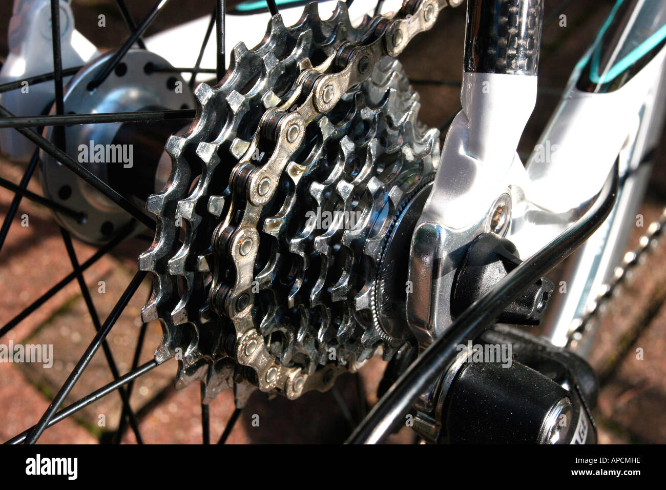 bike riding and belly fat