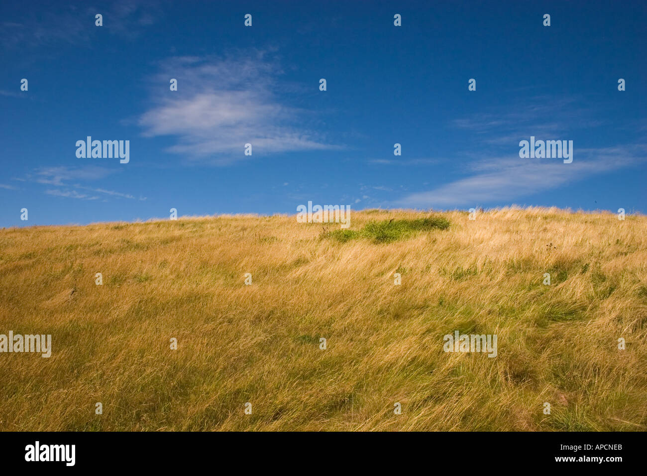 Grassy hill with blue sky Stock Photo
