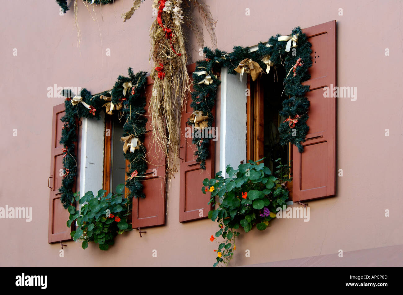 Window shutters in french village house decorated with autumn and winter leaves, Bourg St Maurice, Savoie Stock Photo