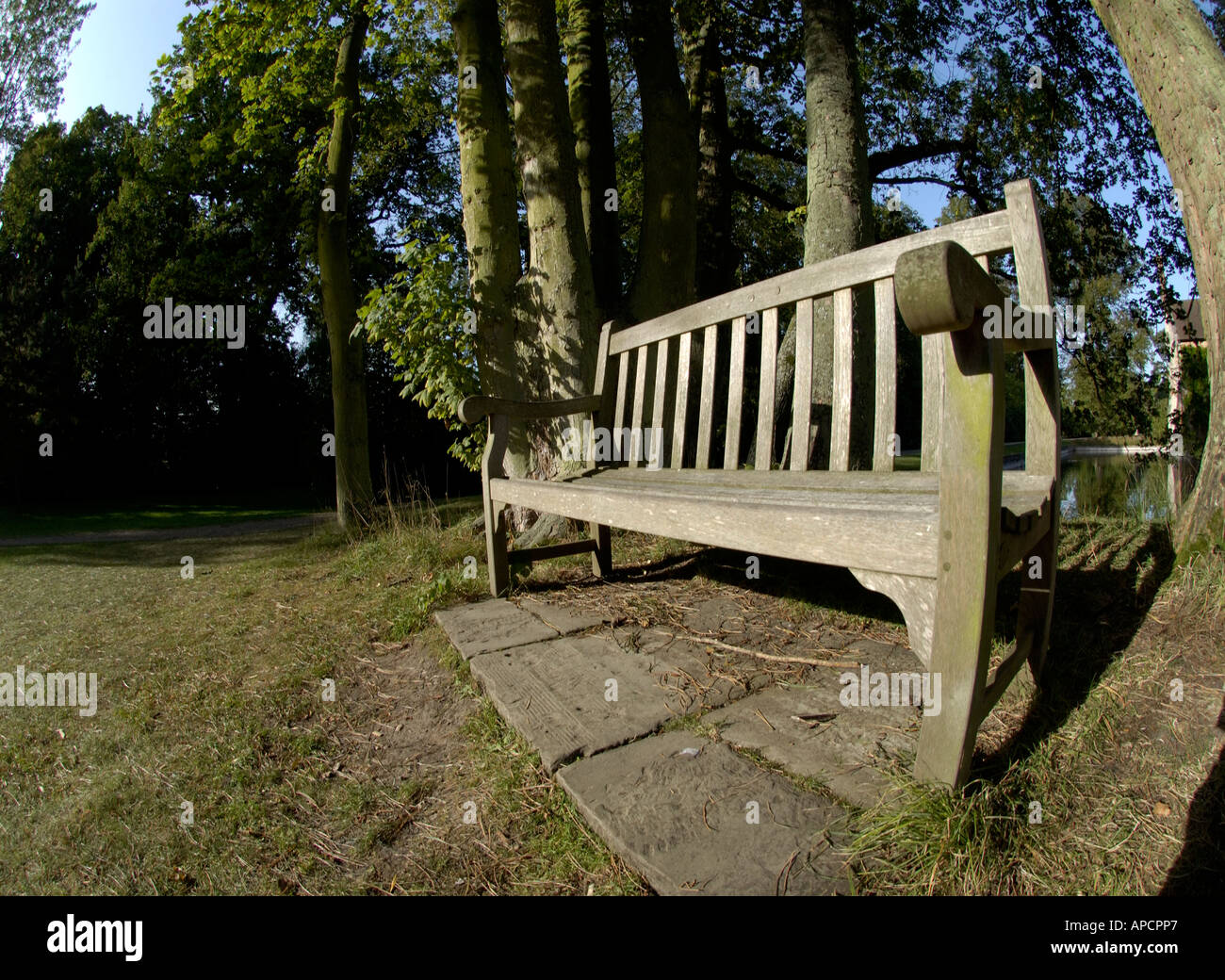 Wooden Bench in English Country Park, England, UK Stock Photo Alamy